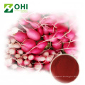 Red Radish Color Natural Red Pigment